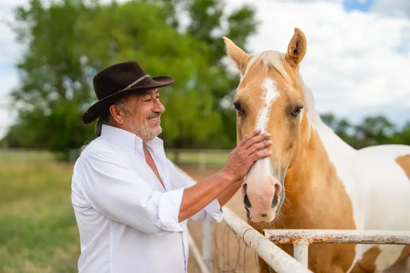 Man petting horse