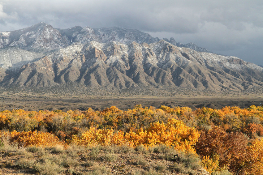 New Mexico Mountains